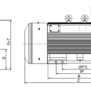 Medium Voltage TEFC Cast Iron Steel Motors