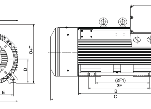 Medium Voltage TEFC Cast Iron Steel Motors